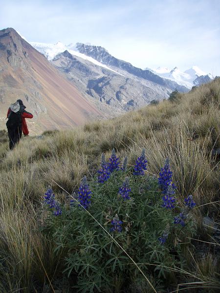 Illampu Trek (101).JPG